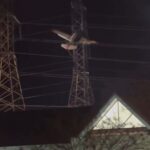 Avion pao na dalekovod