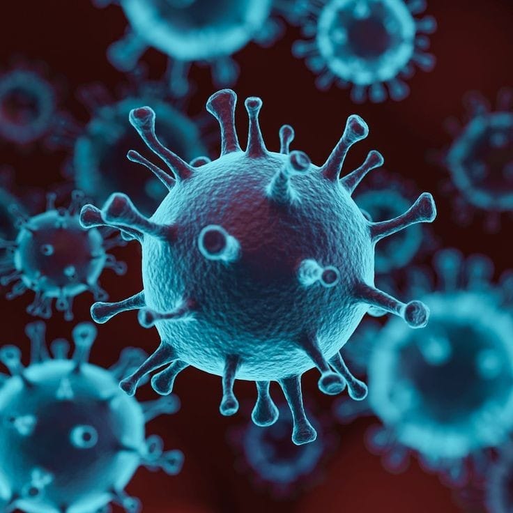 NOVI VIRUS SE MUNJEVITO BRZO ŠIRI EVROPOM! Smrtnost ide i do 90% - moguć je i INDIREKTAN PRENOS!