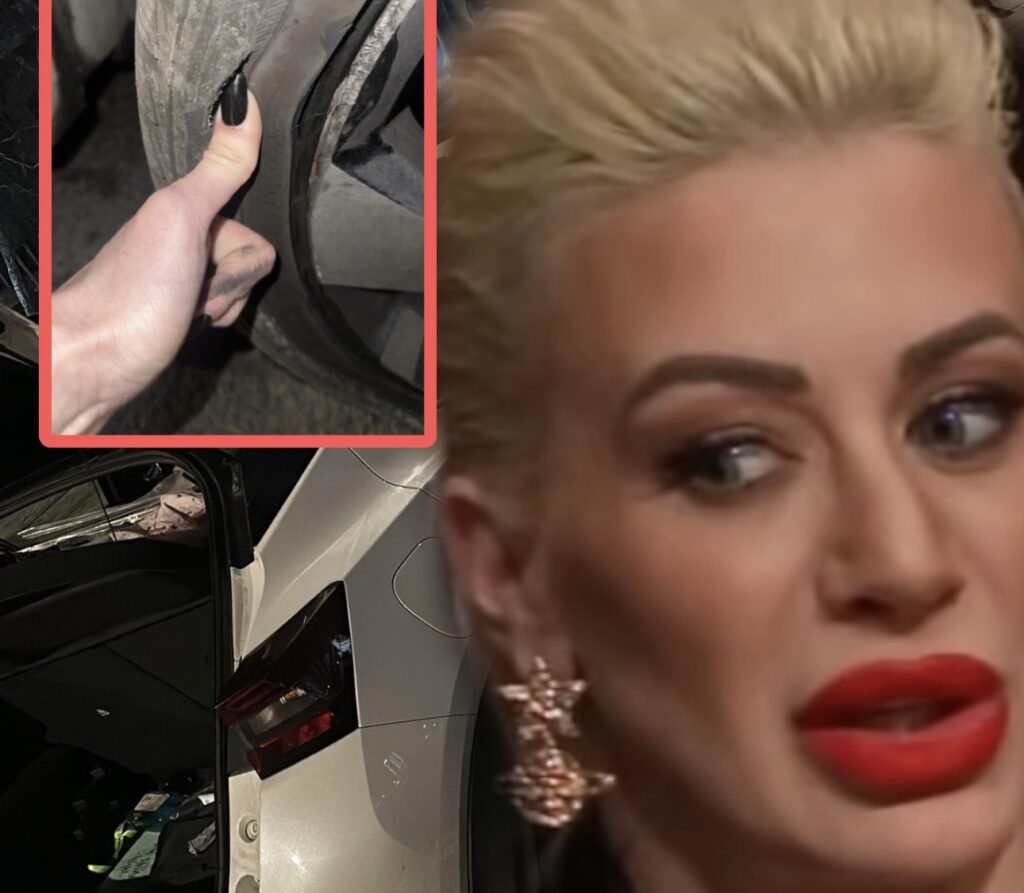 Snimak sa nesta nesreće