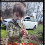 Foto: face/printscreen Ivana Ilić