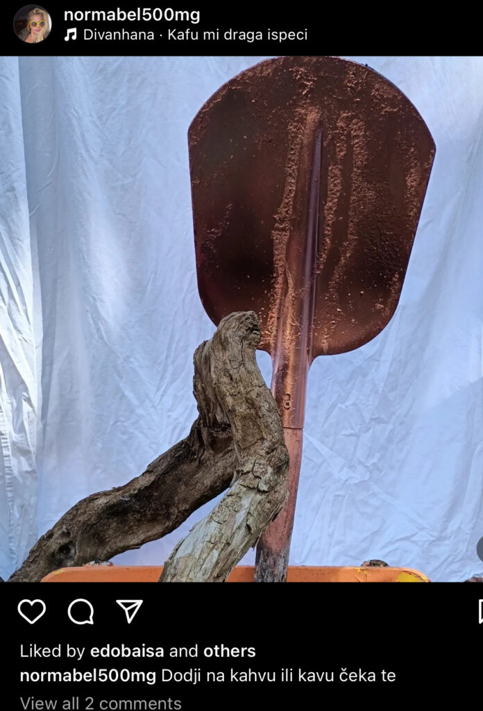 Šok! Jasna Ahmić poslala poruku Asminu?