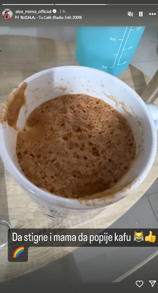 Foto: instagram.com/printscreen Aleksandra Mima Nikolić