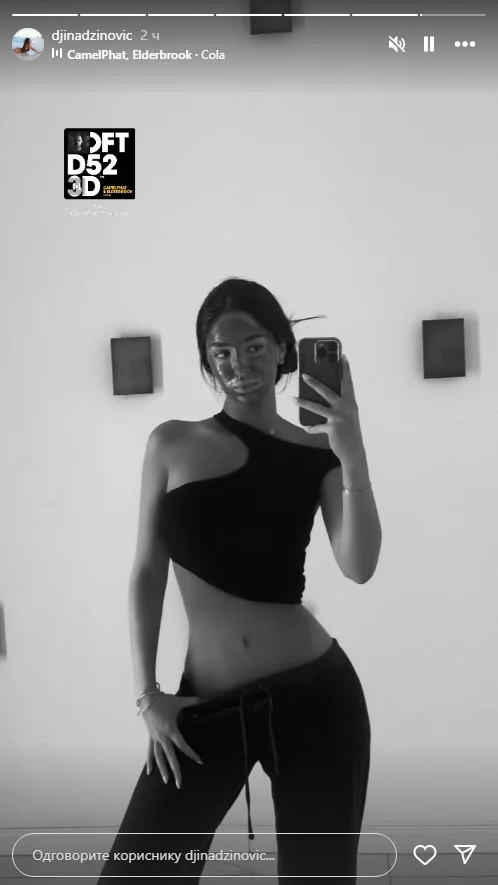 Foto: printscreen Instagram Džina Džinović