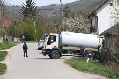 Foto:Nikola Tomić Foto:Nikola Tomić