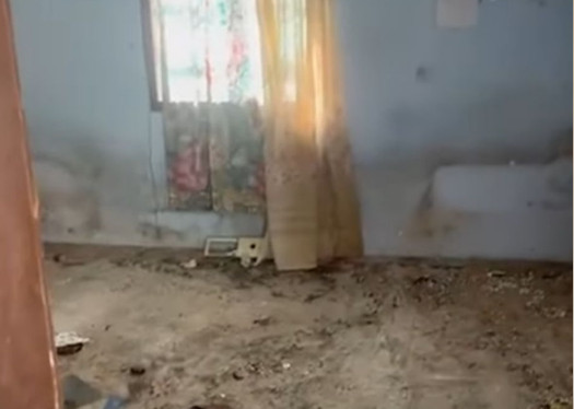 Foto:Youtube printscreen/SrbijaDanas/ Kuća Danka Ilić