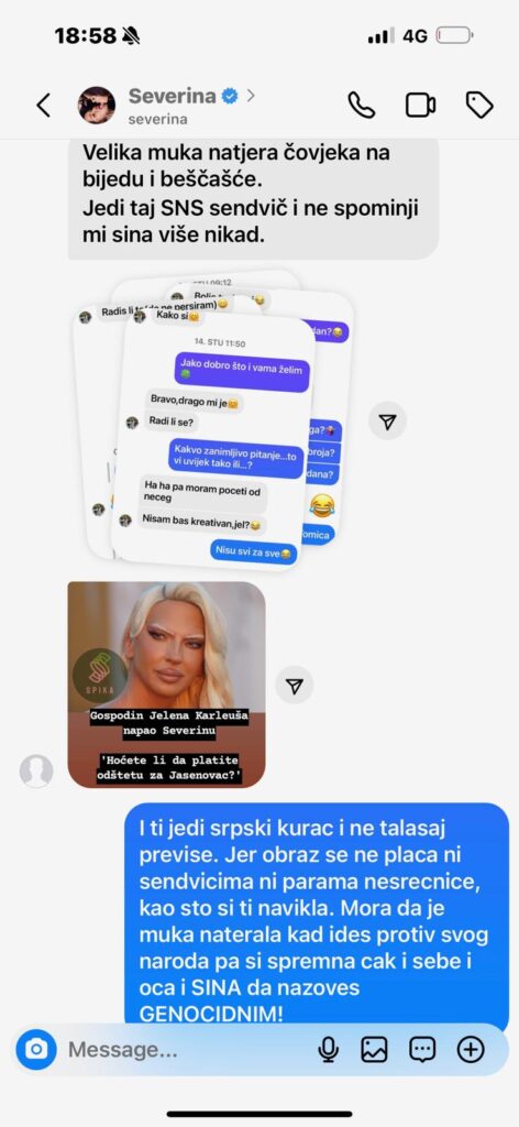 Photo: Printscreen Instagram/karleusa_star