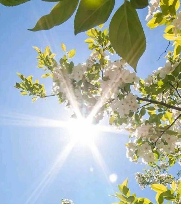 Vremenska prognoza za 7. jun!