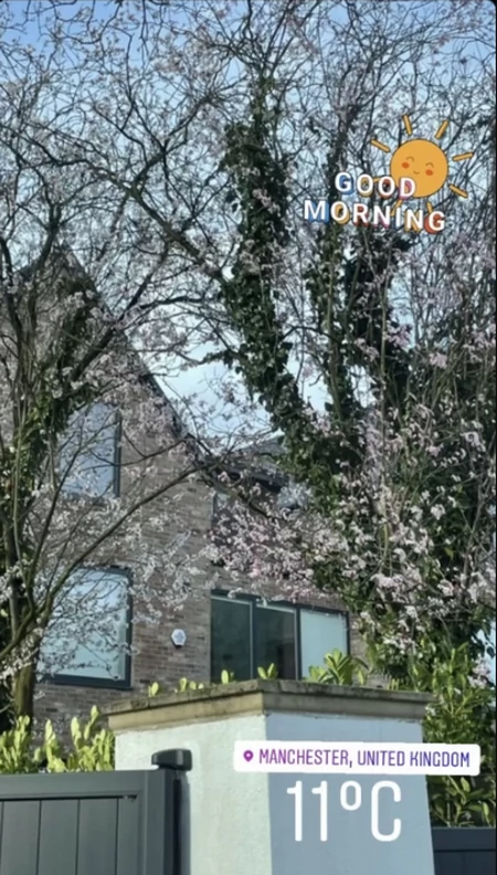 Foto: Printscreen/nemanjamatic