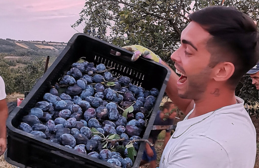 HIT! Bivši rijaliti učesnik u NESVAKIDAŠNJOJ AKCIJI! “Ima posla ko hoće da radi!” Bane Đokić se bacio na posao!