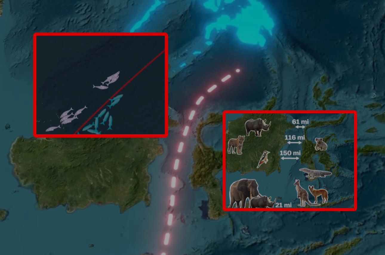 Volasova Linija foto:instagram/geoglobetales