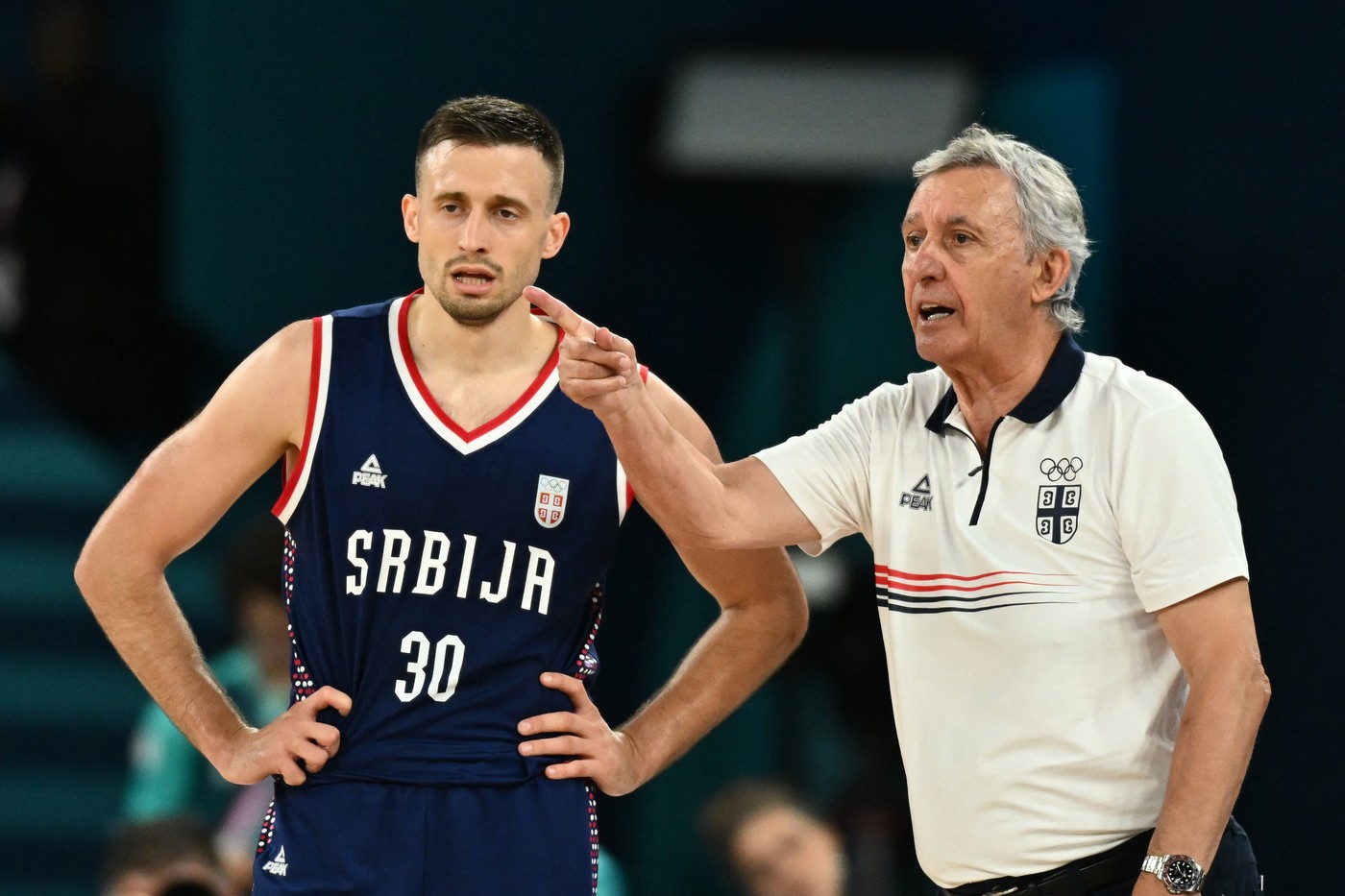 Aleksa Avramović i Svetislav Pešić