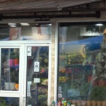 HYPE PAPARAZZO Nakon što su joj zapalili džip, Tijana Ajfon se preselila ovde i vozi ovaj auto