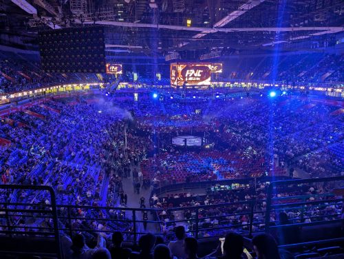 Pantera nokautirao Džakića FNC 23