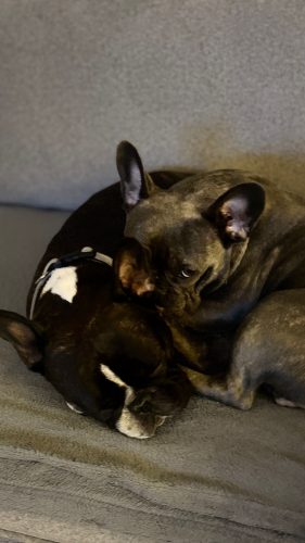 Foto: instagram printscreen/ Ana Ćurčić