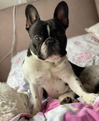 Foto: instagram printscreen/ Ana Ćurčić