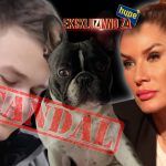Foto: Hype TV/Instagram printscreen/Privatna arhiva/Ilustracija/ Ana Ćurčić, Nikola Animal Resque