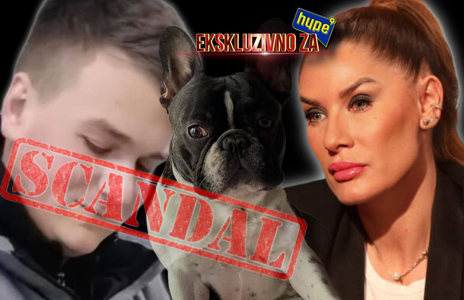 Foto: Hype TV/Instagram printscreen/Privatna arhiva/Ilustracija/ Ana Ćurčić, Nikola Animal Resque