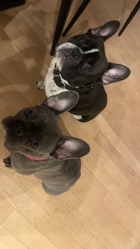 Foto: instagram printscreen/ Ana Ćurčić