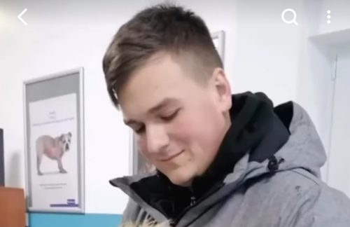 Foto: instagram printscreen/nikola animal resque