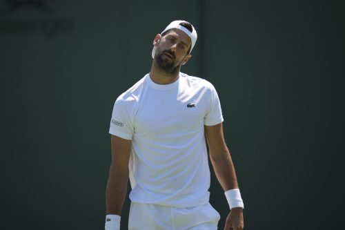 Novak Đoković Aleksandre Mule Vimbldon