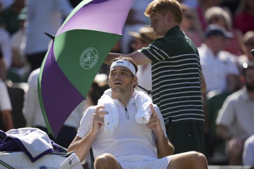 Fric ispao u polufinalu Vimbldona