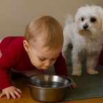 MAMA DALA BEBI DA PIJE VODU IZ ČINIJE ZA PSE – da li je ovo neviđena neodgovornost ili nova „metoda jačanja imuniteta“?