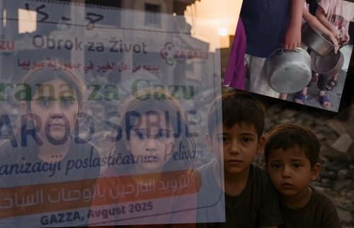 Foto: Instagram printscreen/Ilustracija/Humanitarna akcija Pelivan