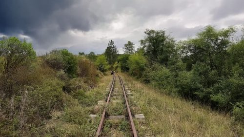 Facebook, foto G. Jovanović